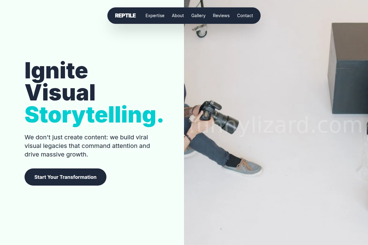Reptile Creative Direction