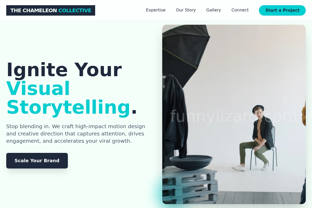 Motion Creative Direction