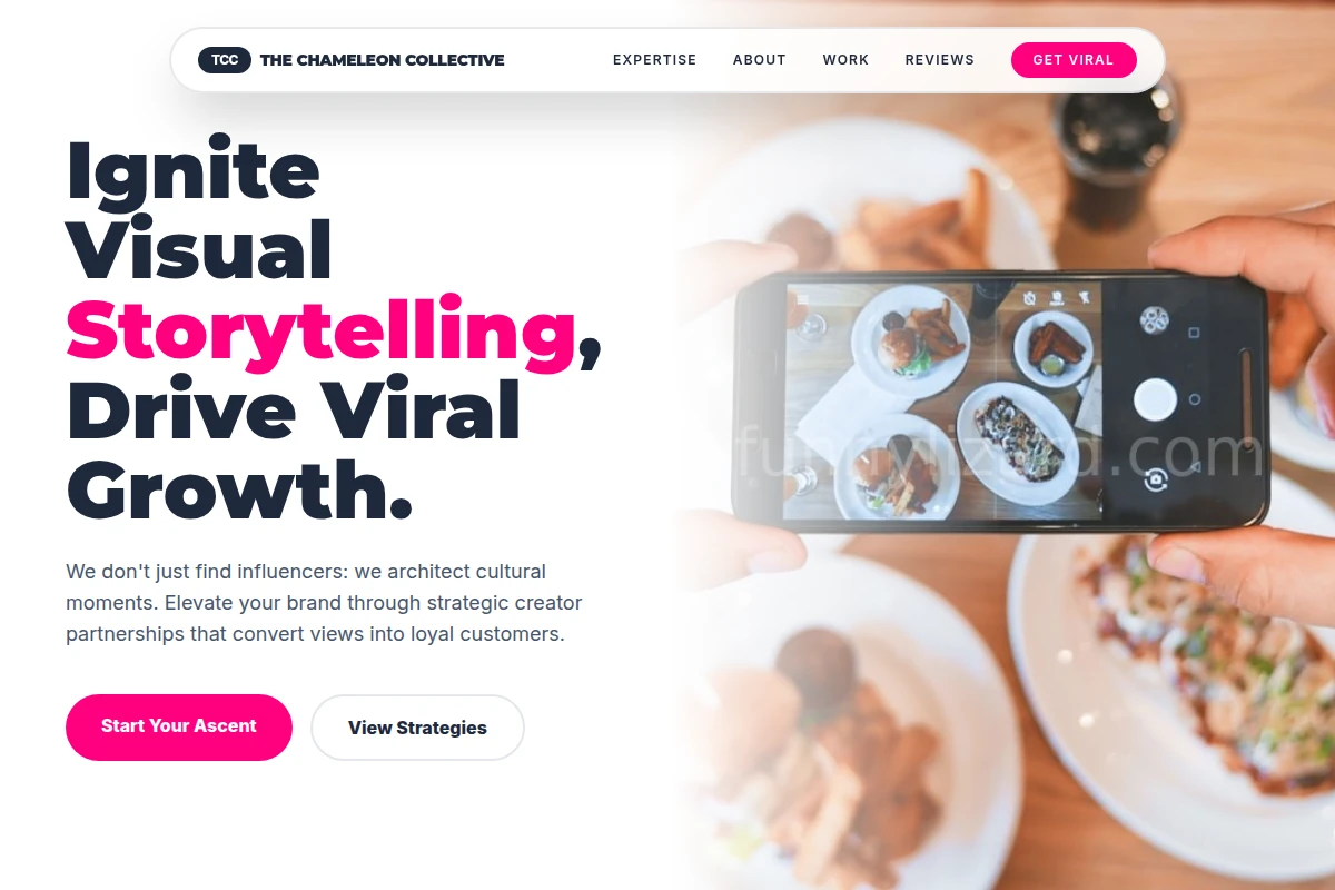Lizard Influencer Marketing