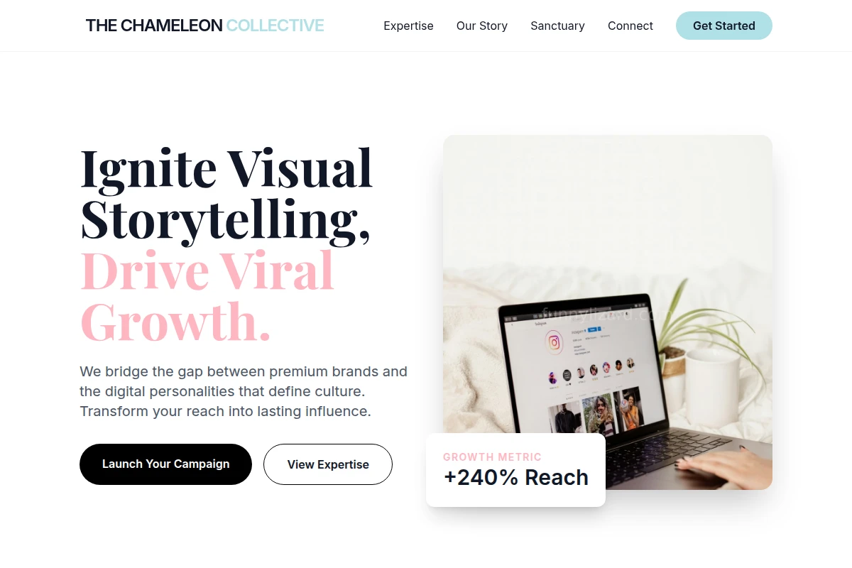 Vector Influencer Marketing