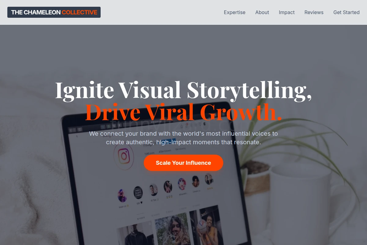 Tempo Influencer Marketing