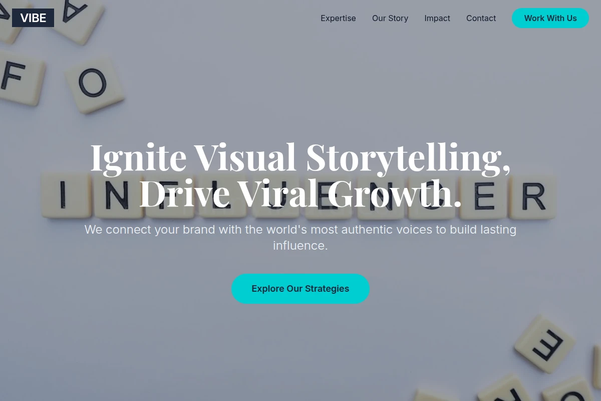 Vibe Influencer Marketing