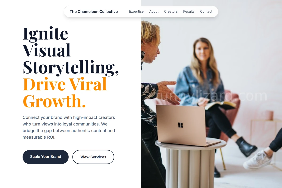 Blink Influencer Marketing