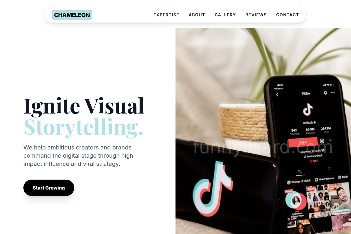 Scroll Influencer Marketing