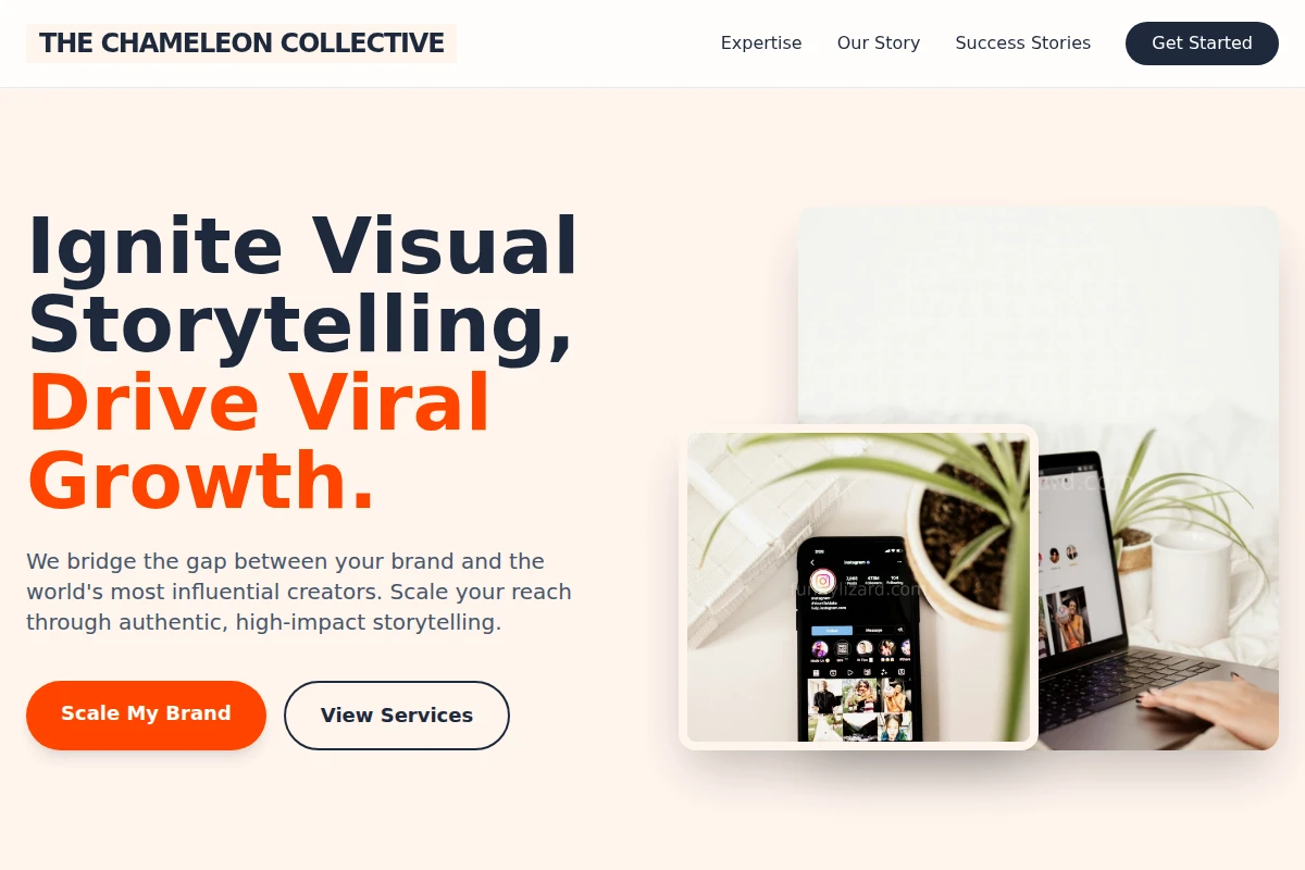 Vector Influencer Marketing