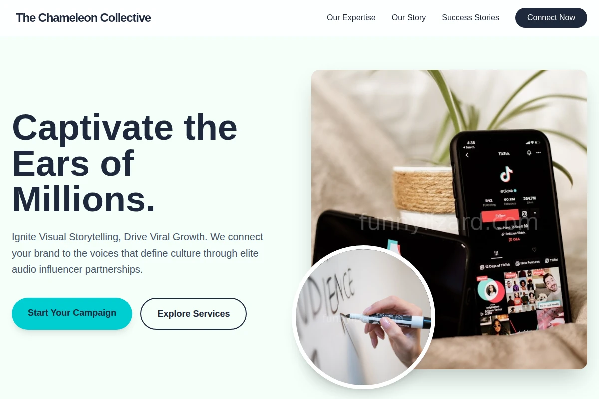 Audio Influencer Marketing