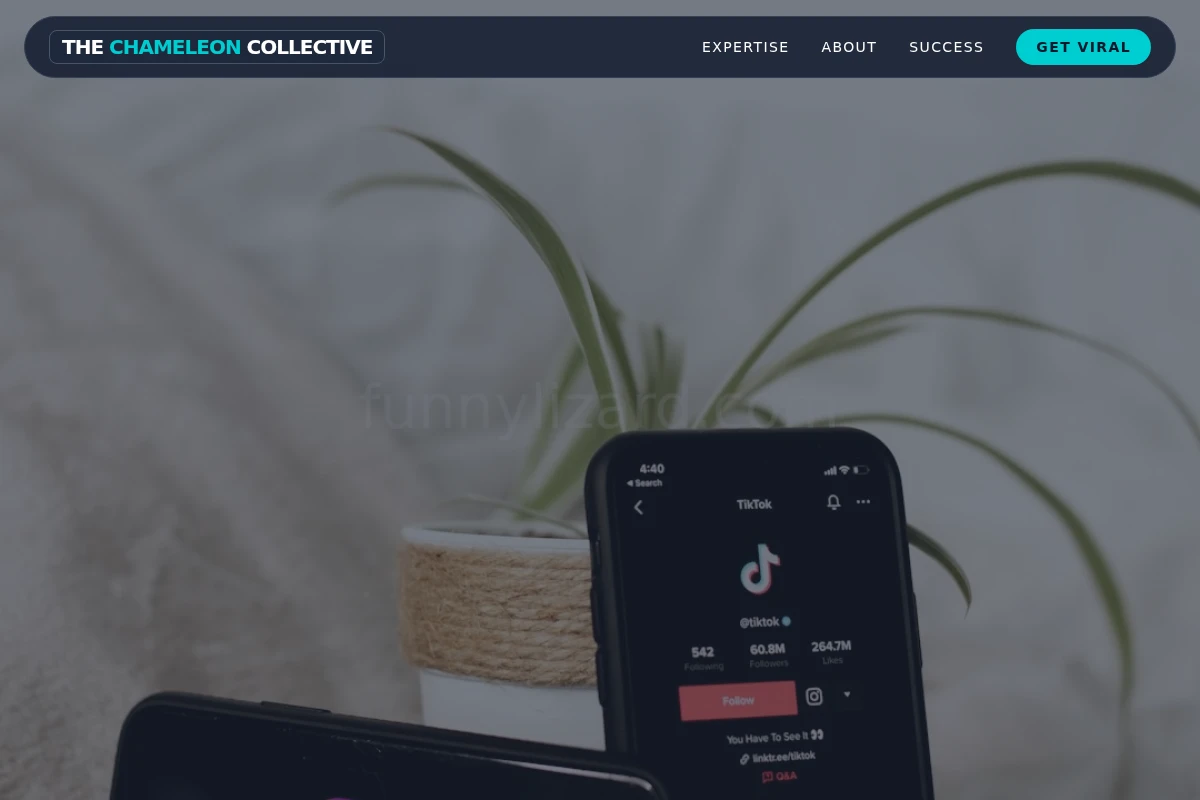 Spark Influencer Marketing