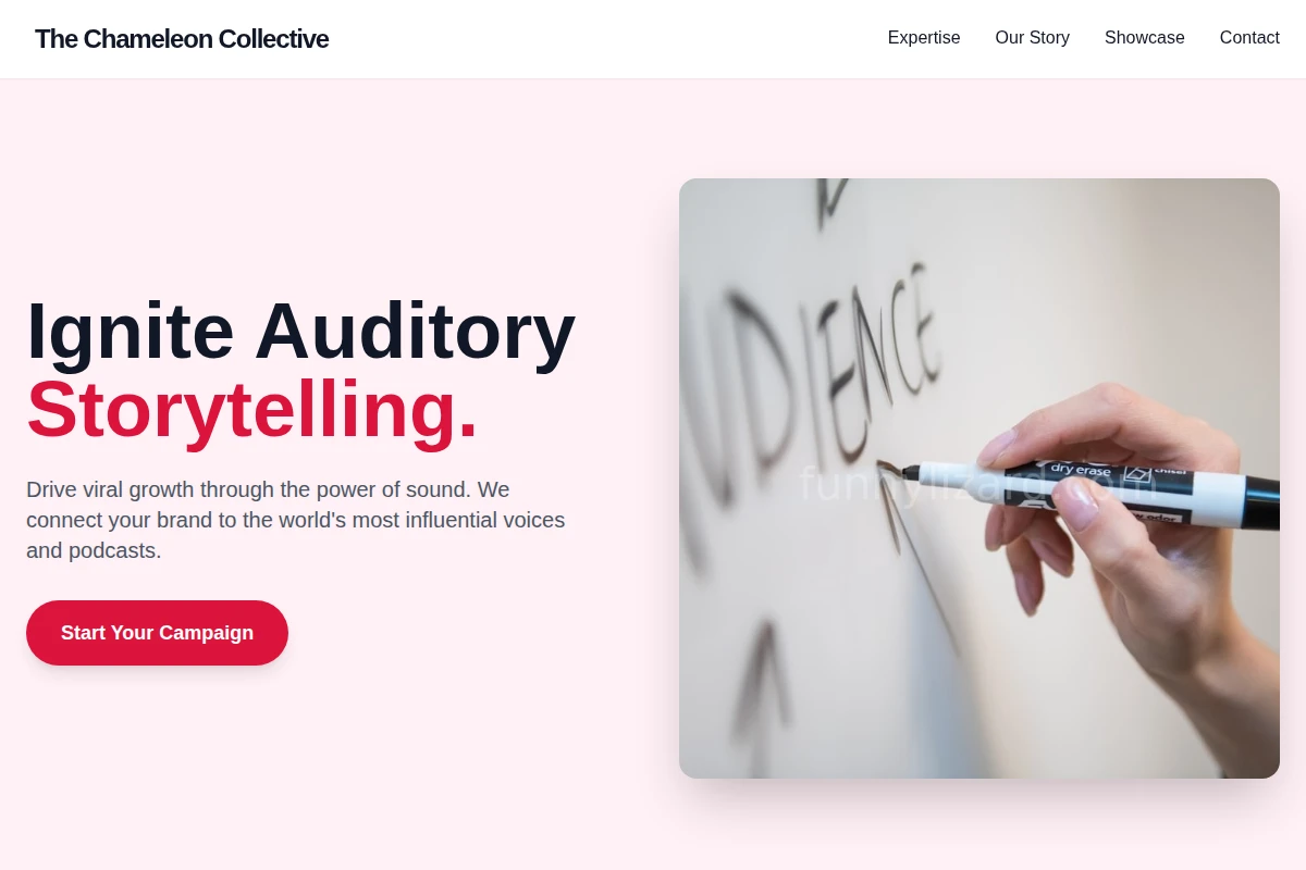 Audio Influencer Marketing