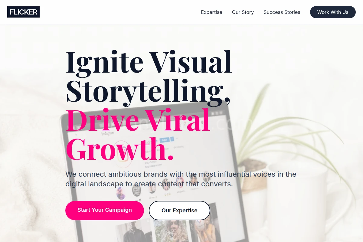 Flicker Influencer Marketing