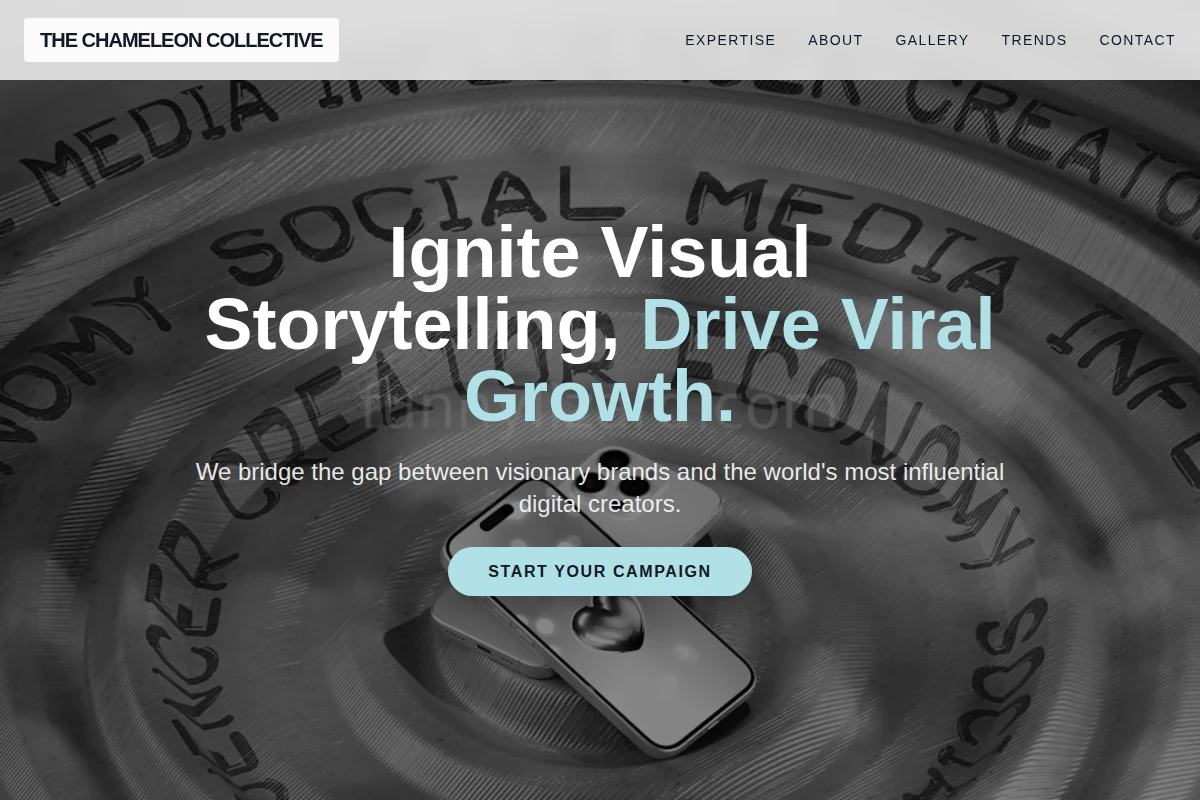 Vibe Influencer Marketing