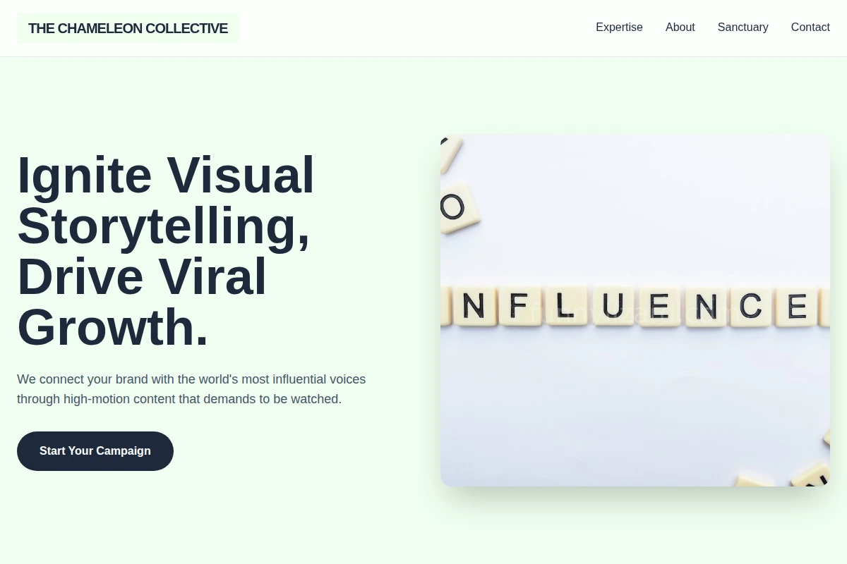 Motion Influencer Marketing