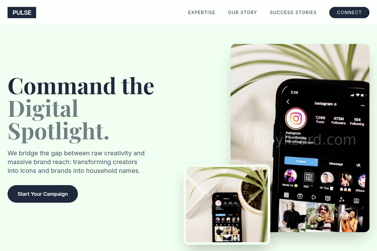 Pulse Influencer Marketing