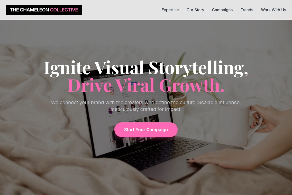 Visual Influencer Marketing