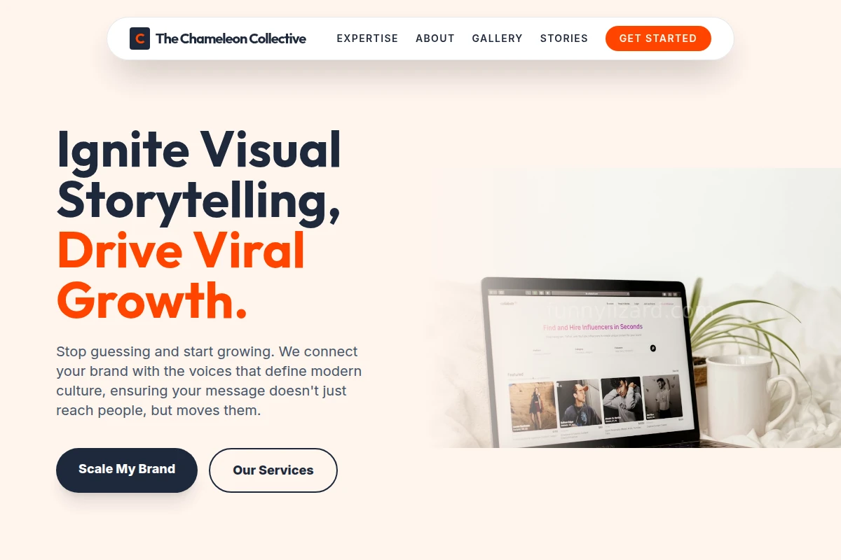 Frame Influencer Marketing