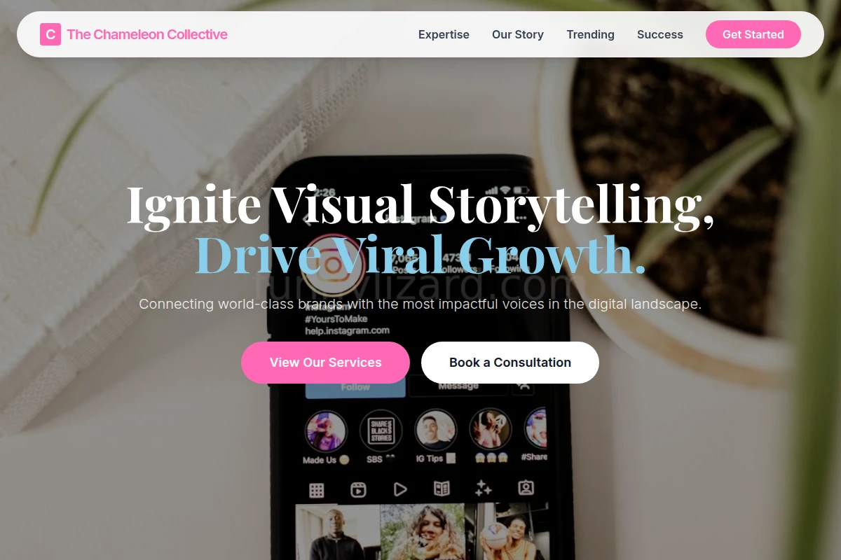 Vivid Influencer Marketing