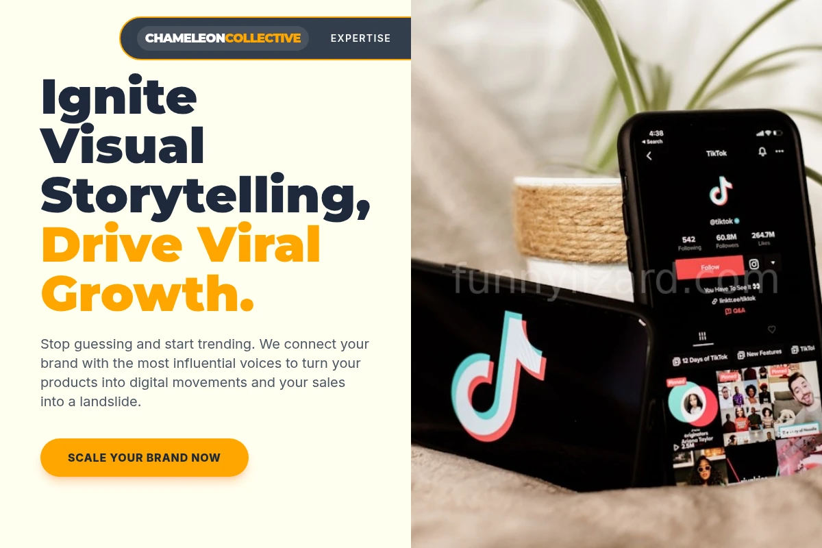 Viral Influencer Marketing