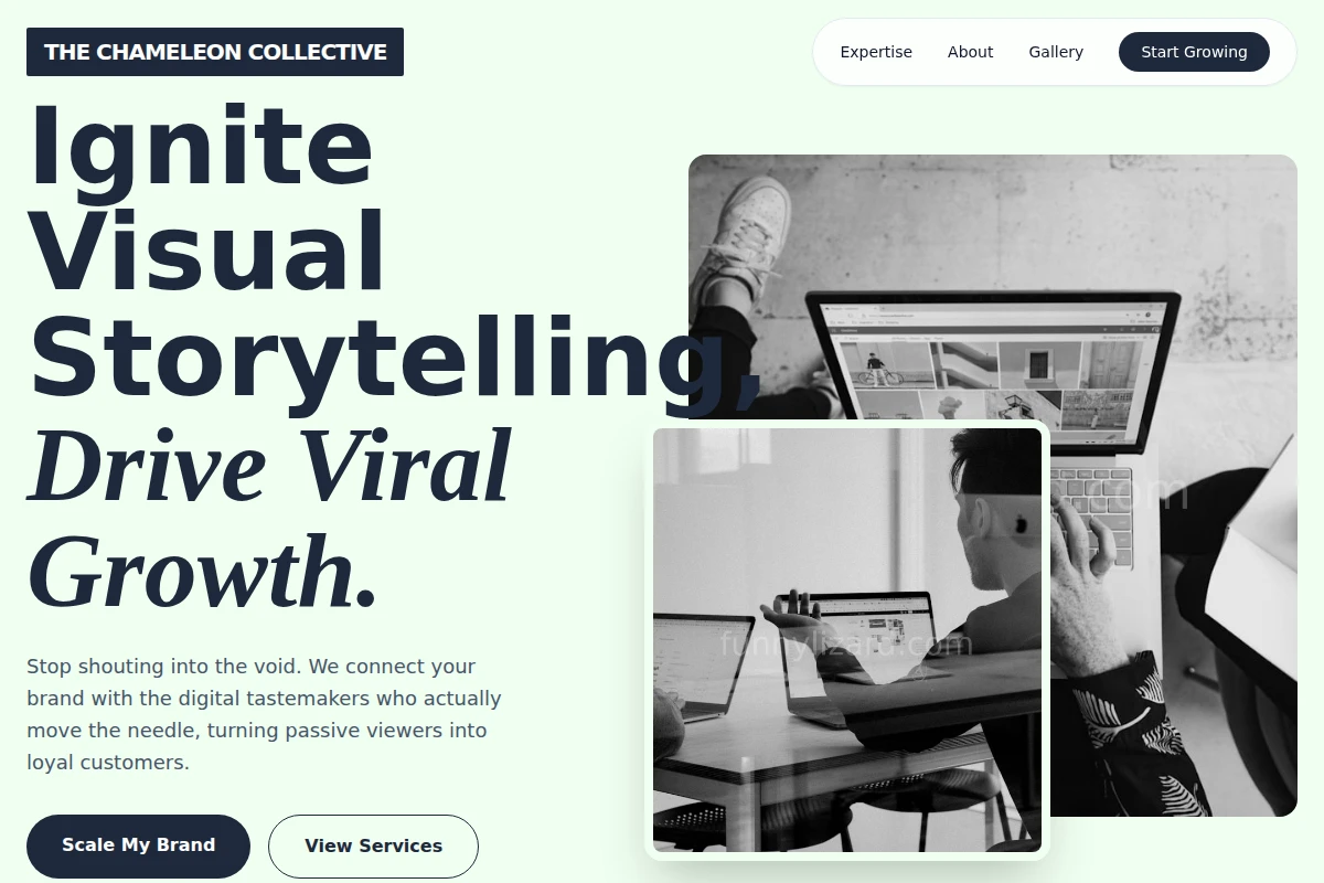 Vivid Influencer Marketing