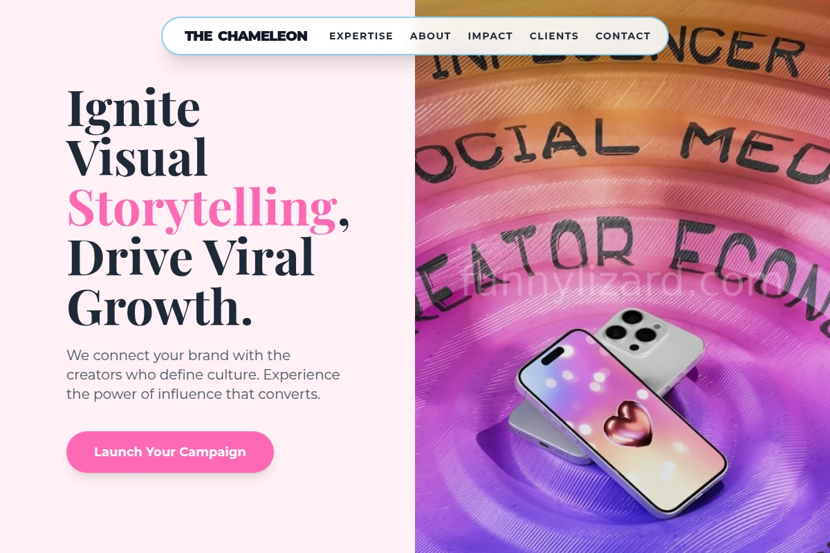Agency Influencer Marketing