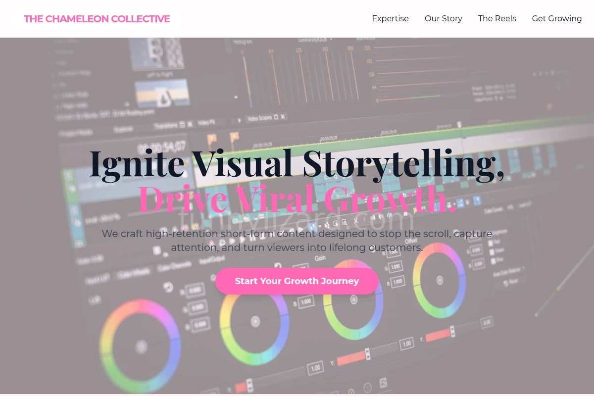 Vivid Short Form Video Agency