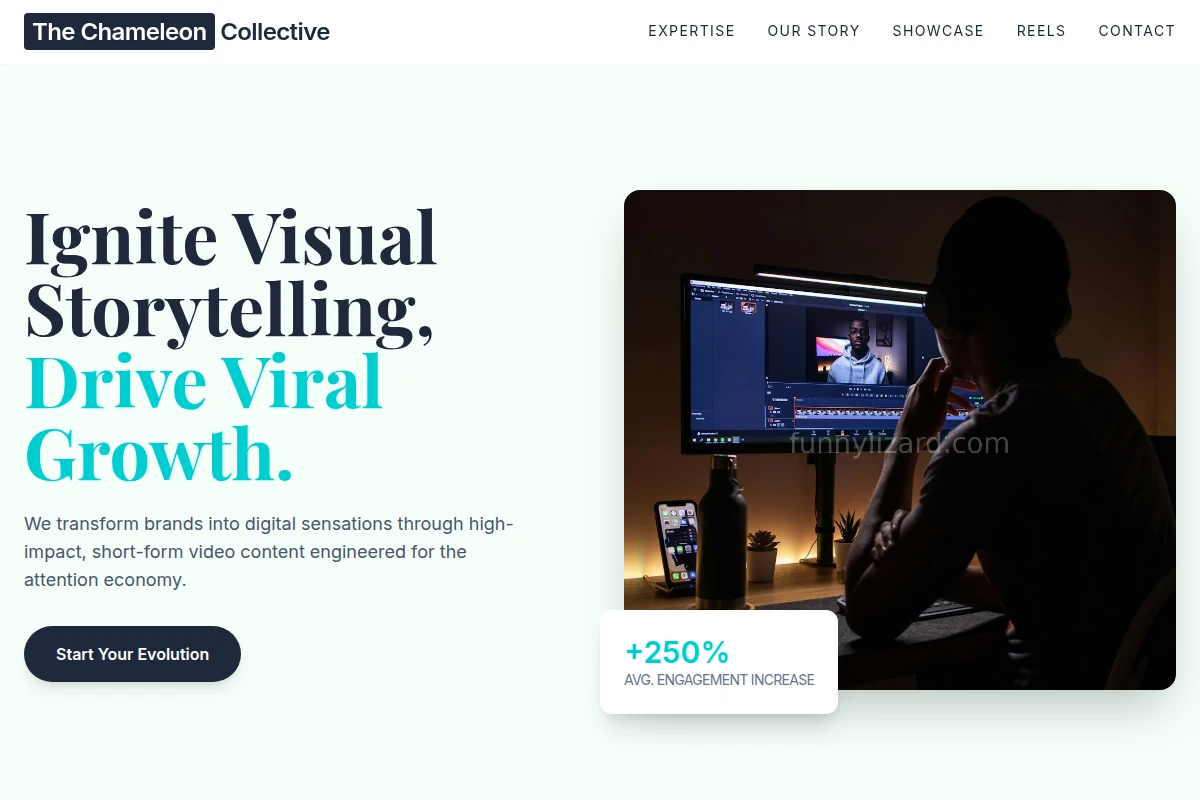 Vivid Short Form Video Agency