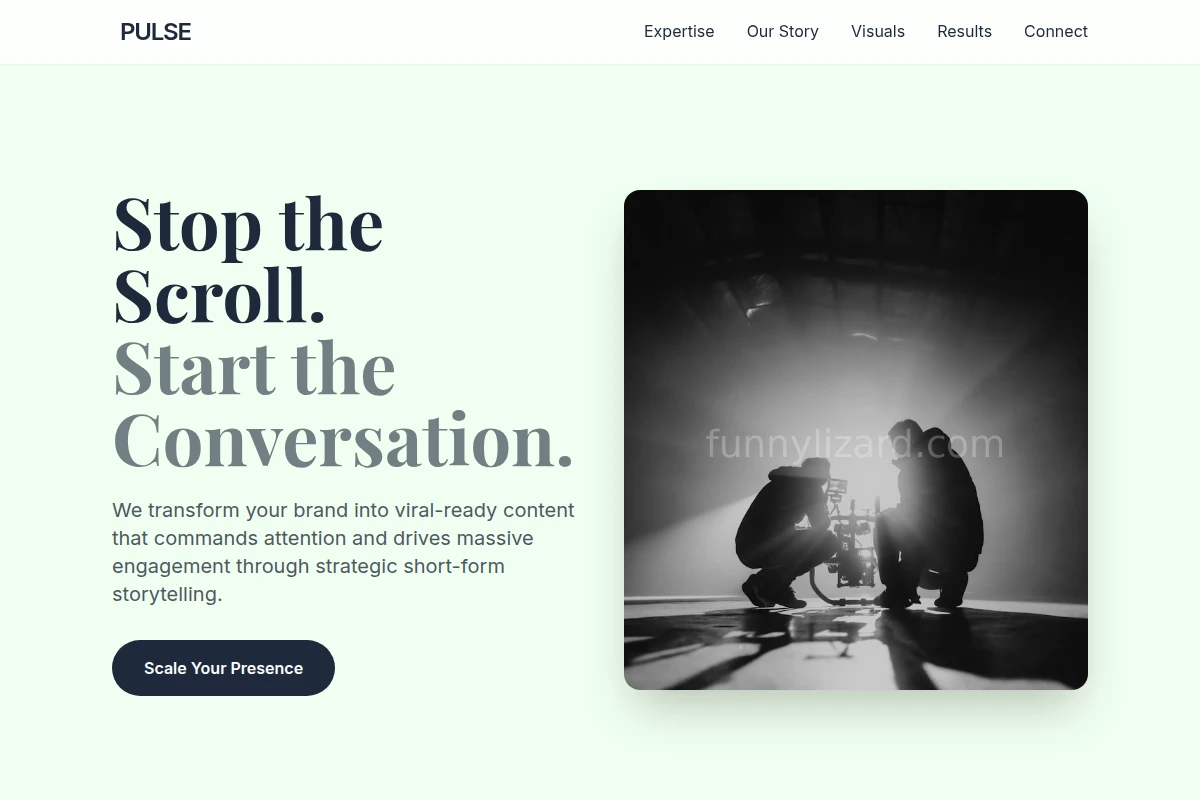 Pulse Short Form Video Agency
