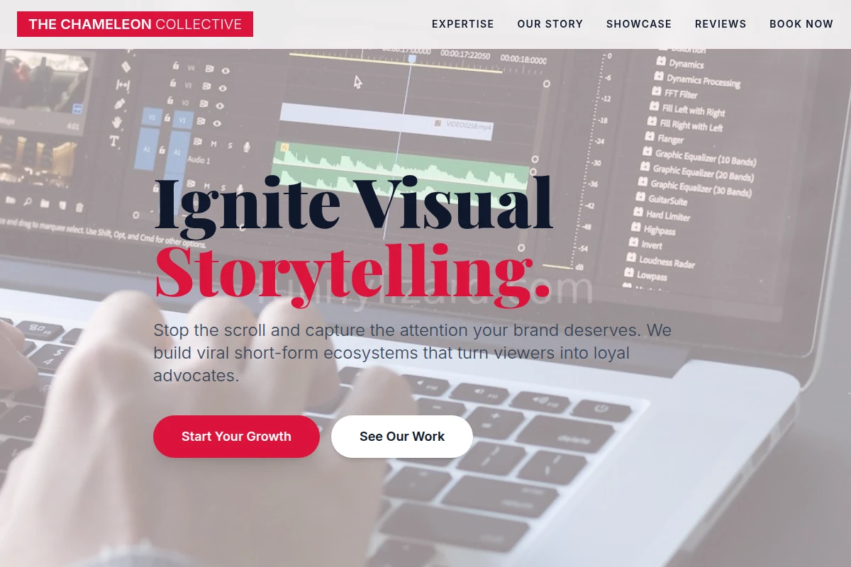Vivid Short Form Video Agency