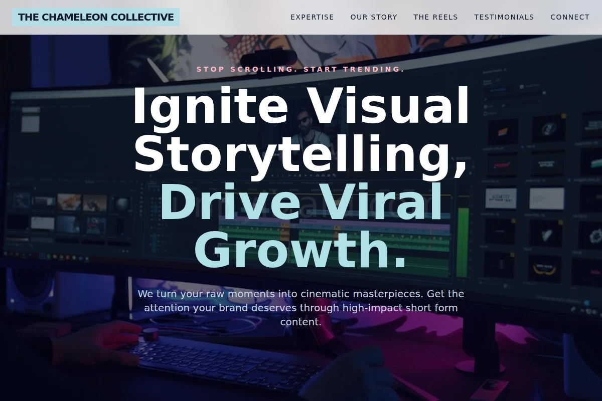 Vivid Short Form Video Agency