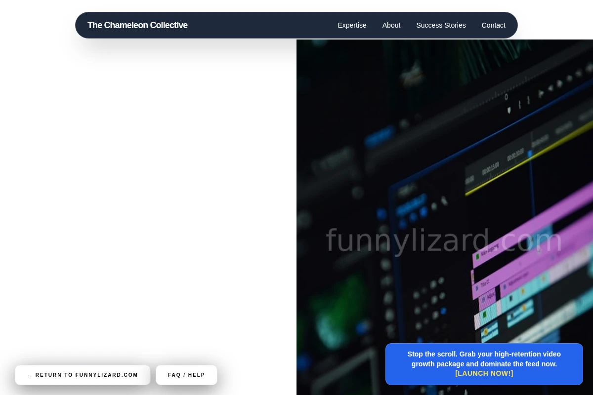 Audio Short Form Video Agency