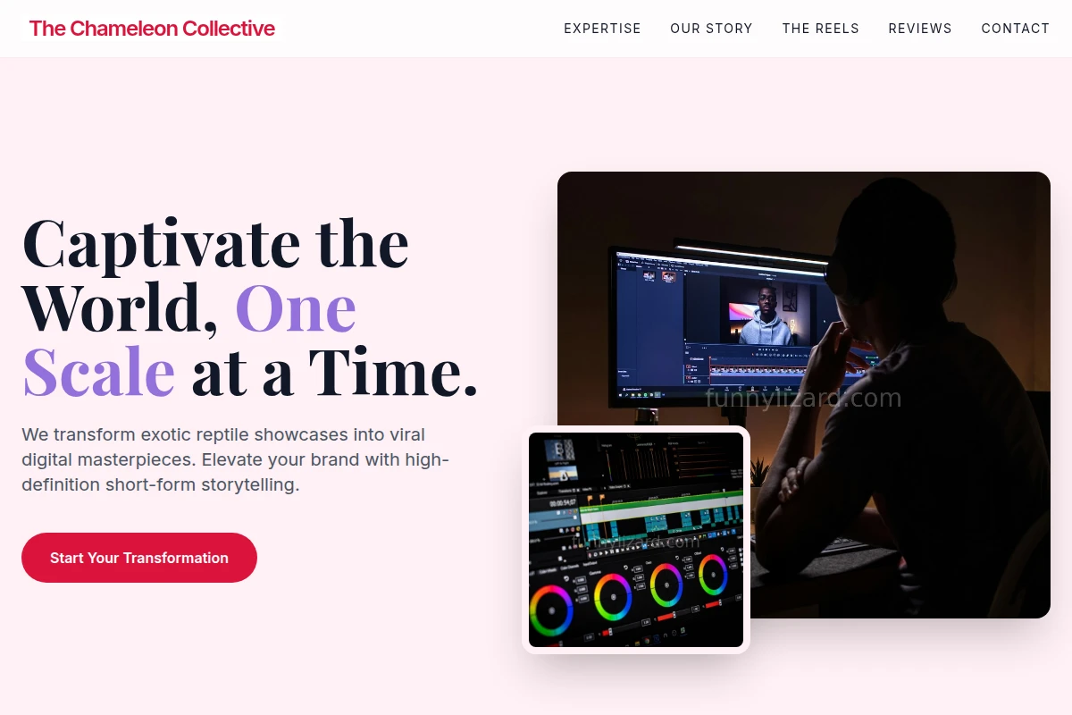 Reptile Short Form Video Agency