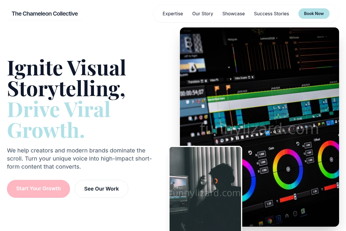 Visual Short Form Video Agency