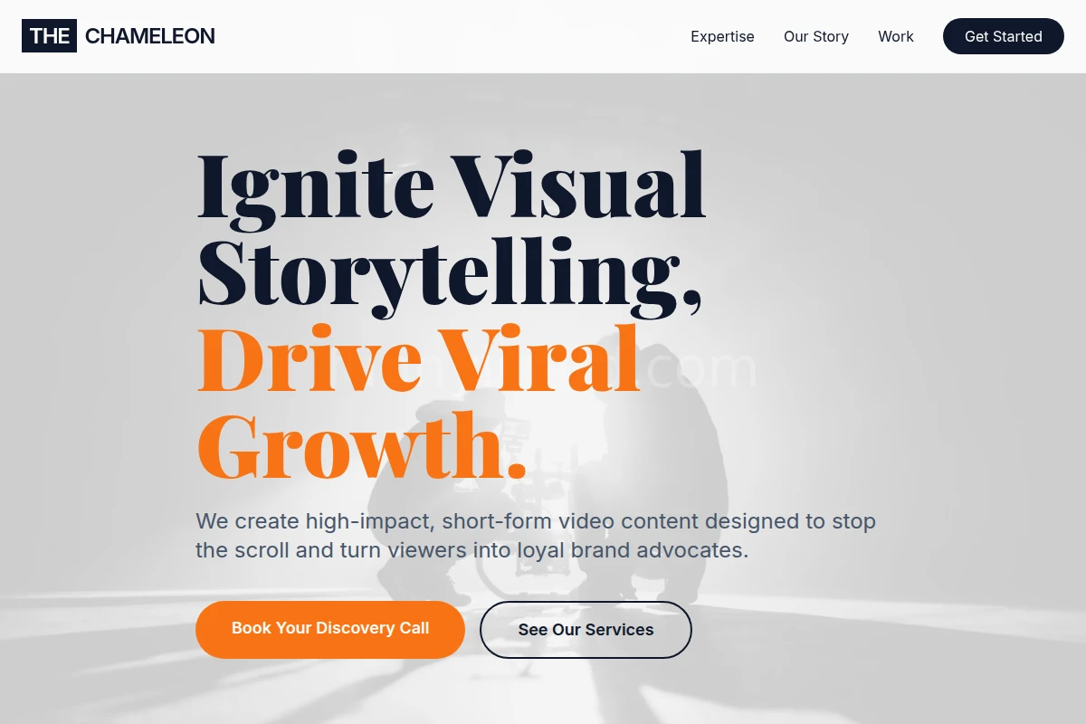 Vector Short Form Video Agency