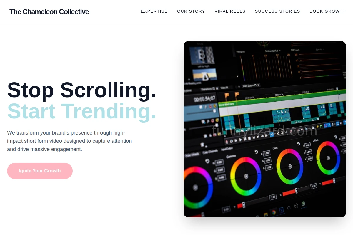 Trend Short Form Video Agency