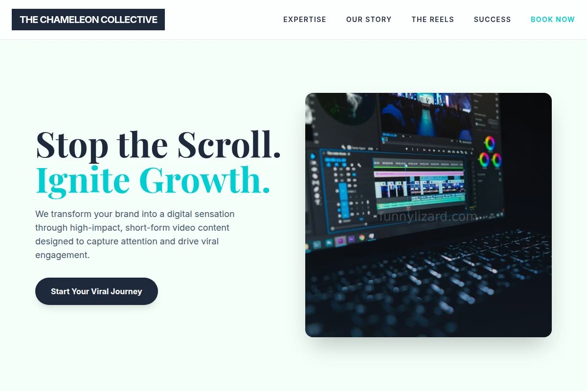Vivid Short Form Video Agency